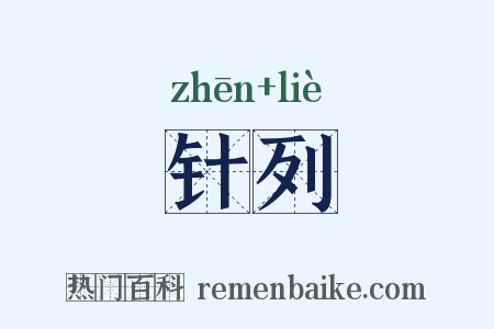 针列是什么意思的图片